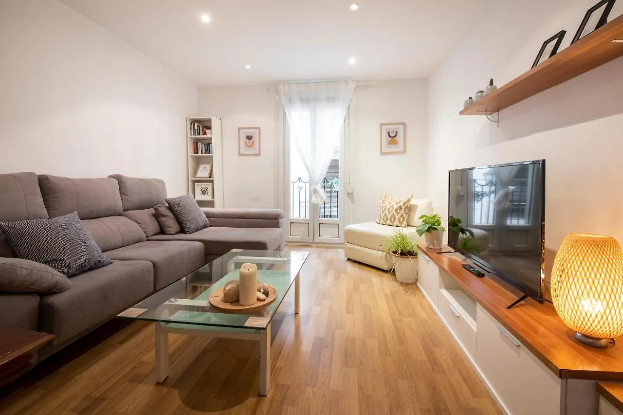Spacious Central Old Town Apartment San Sebastian